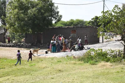 DSC_3067 (Large).JPG